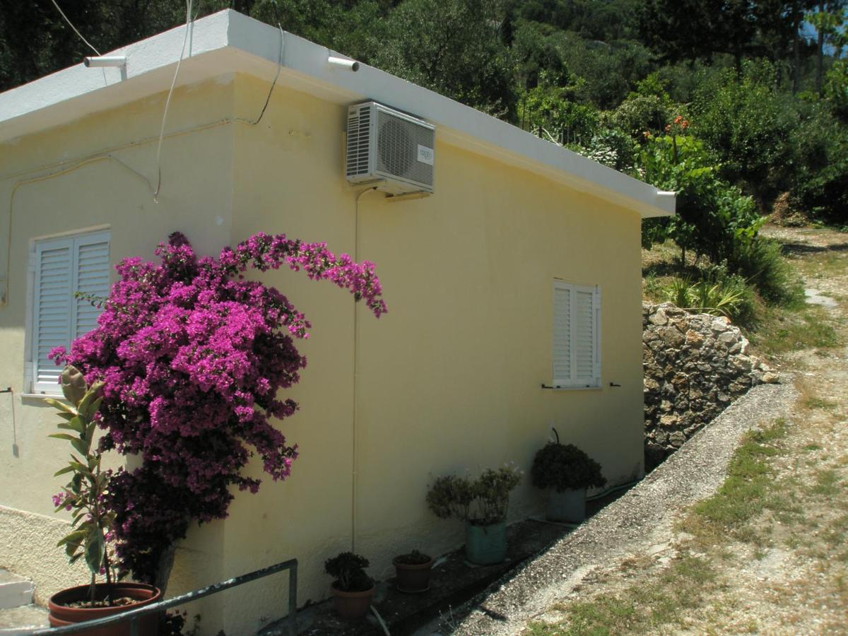 Faliraki Apartments Benícesz Kültér fotó