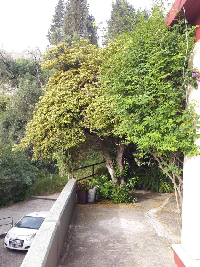 Faliraki Apartments Benícesz Kültér fotó